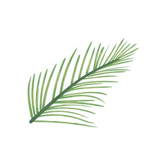 Fototapeta premium summer leaf icon