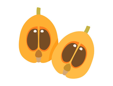 びわ の画像 15 661 件の Stock 写真 ベクターおよびビデオ Adobe Stock