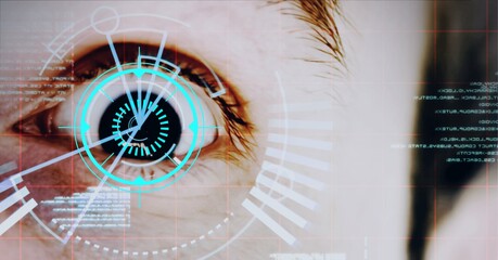 Composition of data processing over an wide open eye in background