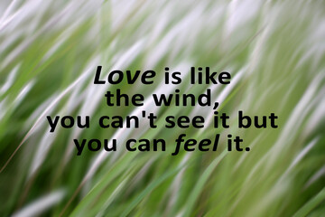 Inspirational quote - Love is like the wind, you cannot see it but you can feel it. On green and white flower background of green grass in the wind.