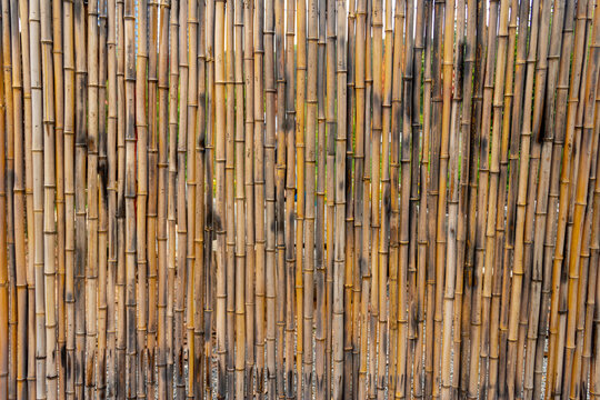 bamboo fence divider texture pattern