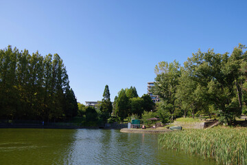 住宅街の広い自然豊かな公園　のどかな休日