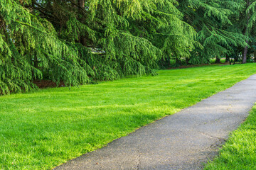Beautiful park with pathway spring rainy day