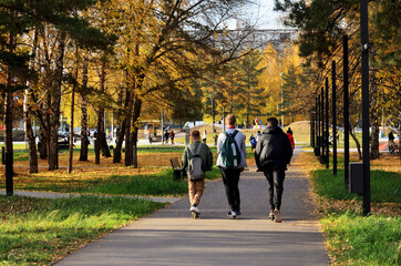 Three boys on scooters move along the path towards autumn park, Russia, 15.09.2021. High quality photo