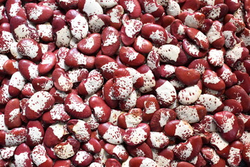 Red and white color raw whole dried speckled Lima beans