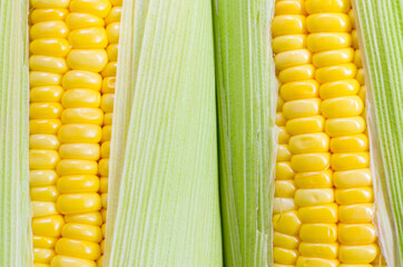 close up of fresh corn, organic vegetable and food concept