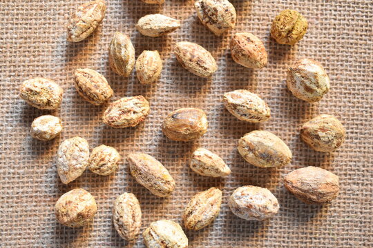 Raw whole dried seed of Terminalia chebula fruit