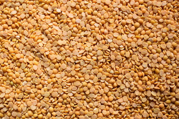 Yellow color raw dried split Pigeon pea lentils