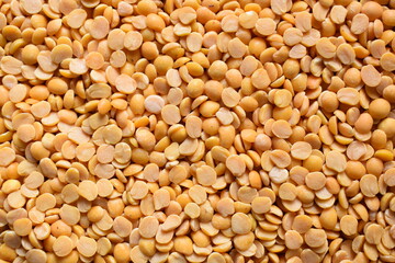 Yellow color raw dried split Pigeon pea lentils