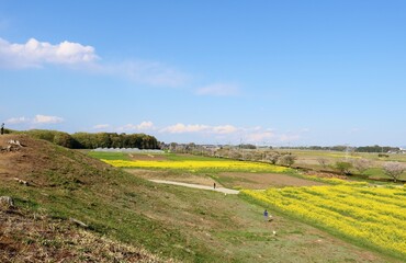 Fototapeta na wymiar 古墳の頂から望む　春空　風景