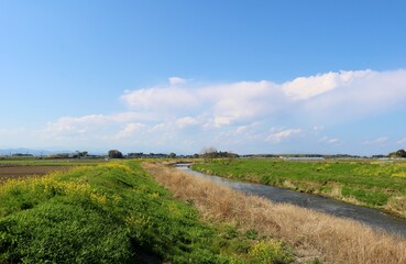 Fototapeta na wymiar 春の日　河川　のどかな　風景