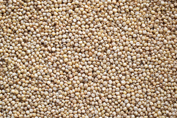 Raw whole dried Sorghum millet