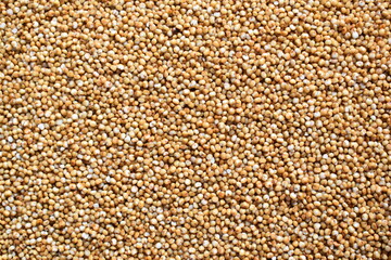 Raw whole dried Kodo millet