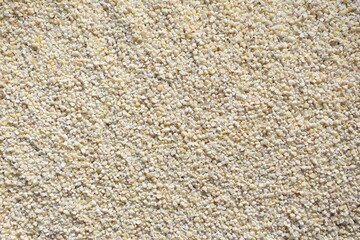 Raw dried broken Barley grains