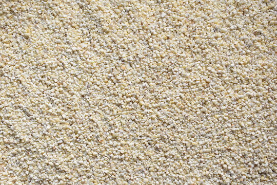 Raw dried broken Barley grains