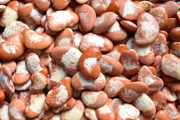 Soaked raw whole speckled Lima bean