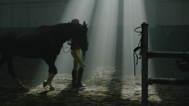 Jockey Walking with Horse Animal in Ranch Stable. Woman Rider in Sportive Costume Walk with Stallion Runner Inside Farmland Building. Preparing for Racing on Hippodrome Slow Motion
