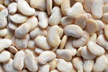 Soaked white color raw whole Butter bean