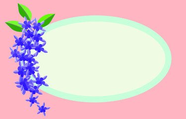 Purple flowers with 5 lobed petals and stiff green leafs isolated on Pink background. Star shaped purple bouquet flowers