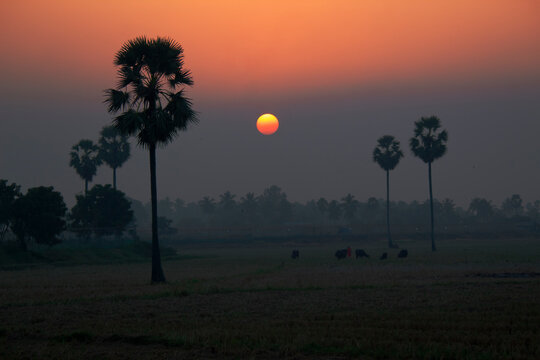 The beautiful sunset images taken in Rural India.