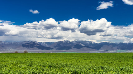 Fototapety na wymiar - Fototapeta24.pl