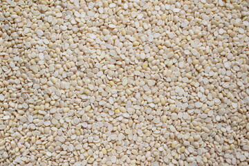 Raw split dried white Urad lentils