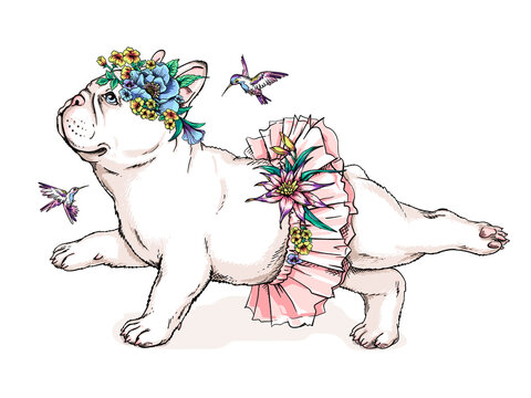 Cute french bulldog ballerina sketch. Dog in ballet tutu. Vector illustration in hand-drawn style. Dog with flowers and birds. Image for printing on any surface