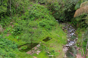 Naklejka premium waterfall with rivers surrounded by lots of nature (horizontal)