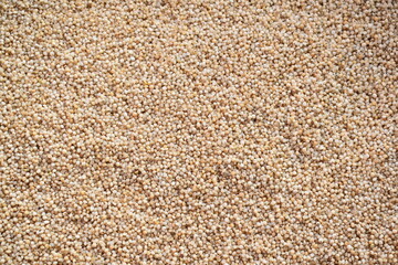 Raw whole dried barnyard millet