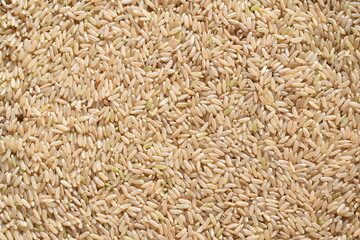 Raw whole dried brown color rice