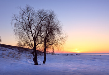 Fototapeta na wymiar Sunrise over the winter bank of the Ob River. The silhouette of a bare tree among the snowdrifts, the orange golden sky on the horizon. Nature of Siberia, Russia