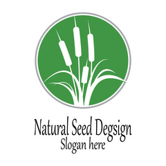 Reeds icon vector design template and symbol