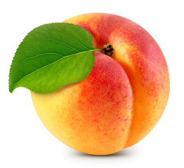 Apricot with apricot leaves isolated on a white background. Apricot with clipping path