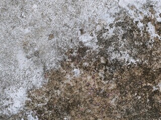 Old cement or concrete outdoor wall with stains and moldy for background.There are black and stains.