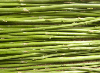 Green color raw whole fresh Asparagus