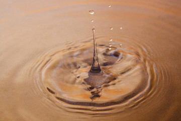 The drop hits the surface of the water, leaving behind splashes and circles. You can see the sand...