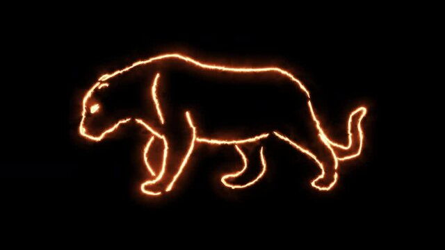 Lion Puma outline of burning flames and puma in neon lights. Compilation of animation with lion in fire and glow light effects.