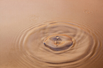 Circles on the water and a frozen drop at the surface.Photo in brown tones