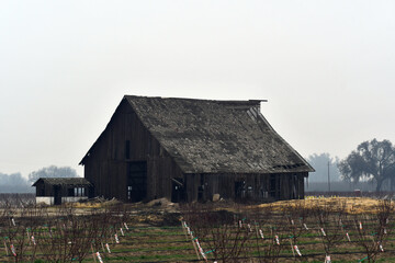 Fototapeta na wymiar Close up shot of an abandoned farm