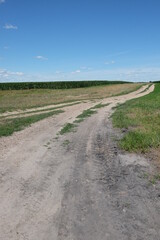 Obraz premium Long dirt road in a field under a blue sky. Scenery.