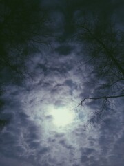 Naklejka premium Moonlight