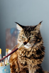The cat sniffs paint brushes