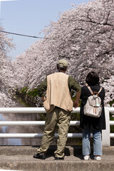 定年後の生活を有意義に過ごすシニア