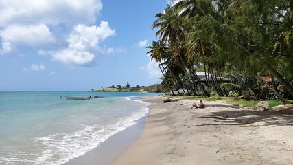 White sand beach with palm trees in Saint Lucia
