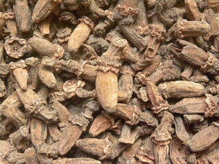 Raw whole dried Kapok bud
