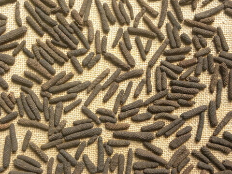 Raw whole dried black long pepper