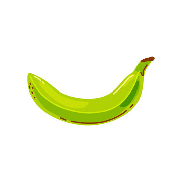 Green banana on a white background. Vector cartoon illustration