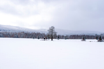 Widok na piękny krajobraz zimowy z górami w tle w pochmurny dzień - obrazy, fototapety, plakaty