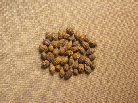 Raw whole dried Terminalia chebula fruit