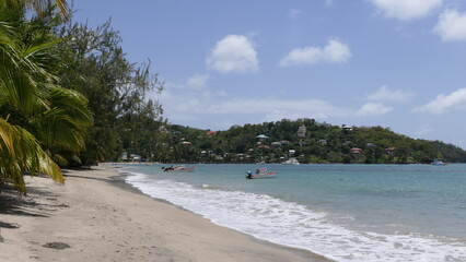 White sand beach with palm trees in Saint Lucia